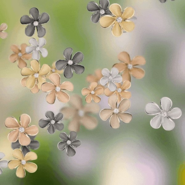 Annamaria Cammilli Cherry Bloom Kollektionsbild