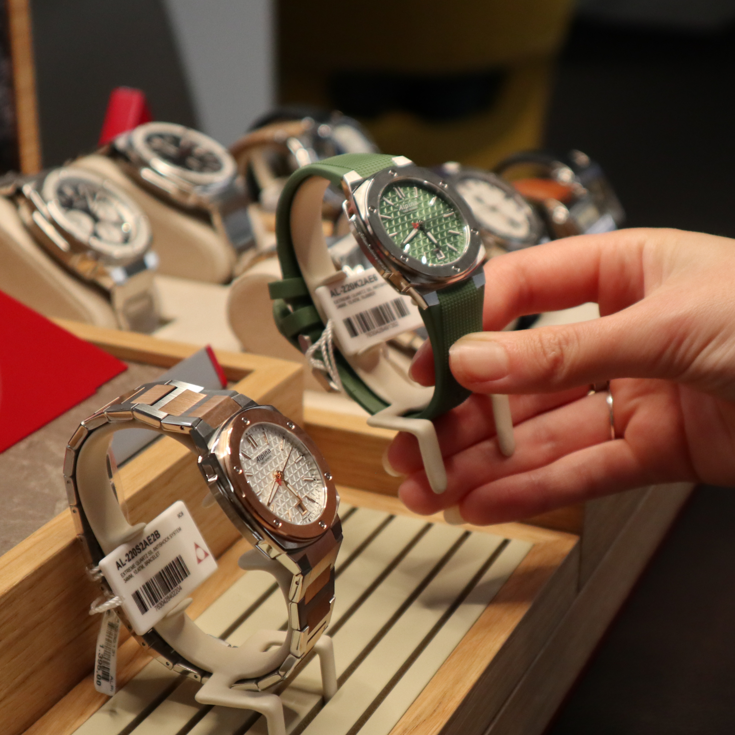 Alpina Gisbert Brunner Event | Alpina Auswahl