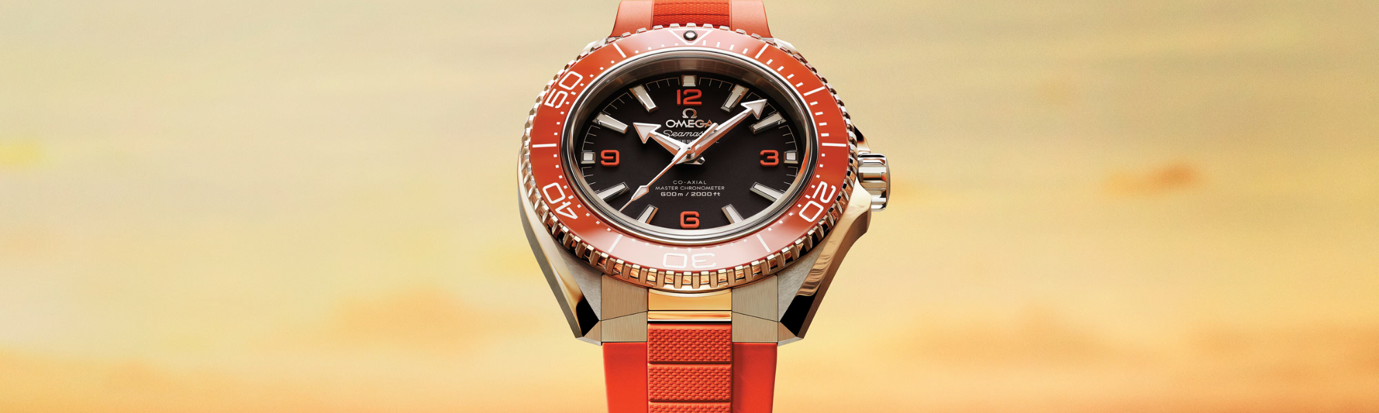 Omega Markenbanner Seamaster Planet Ocean 600M