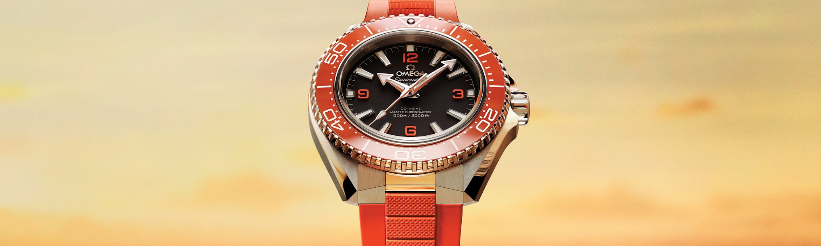 Omega Markenbanner Seamaster Planet Ocean 600M