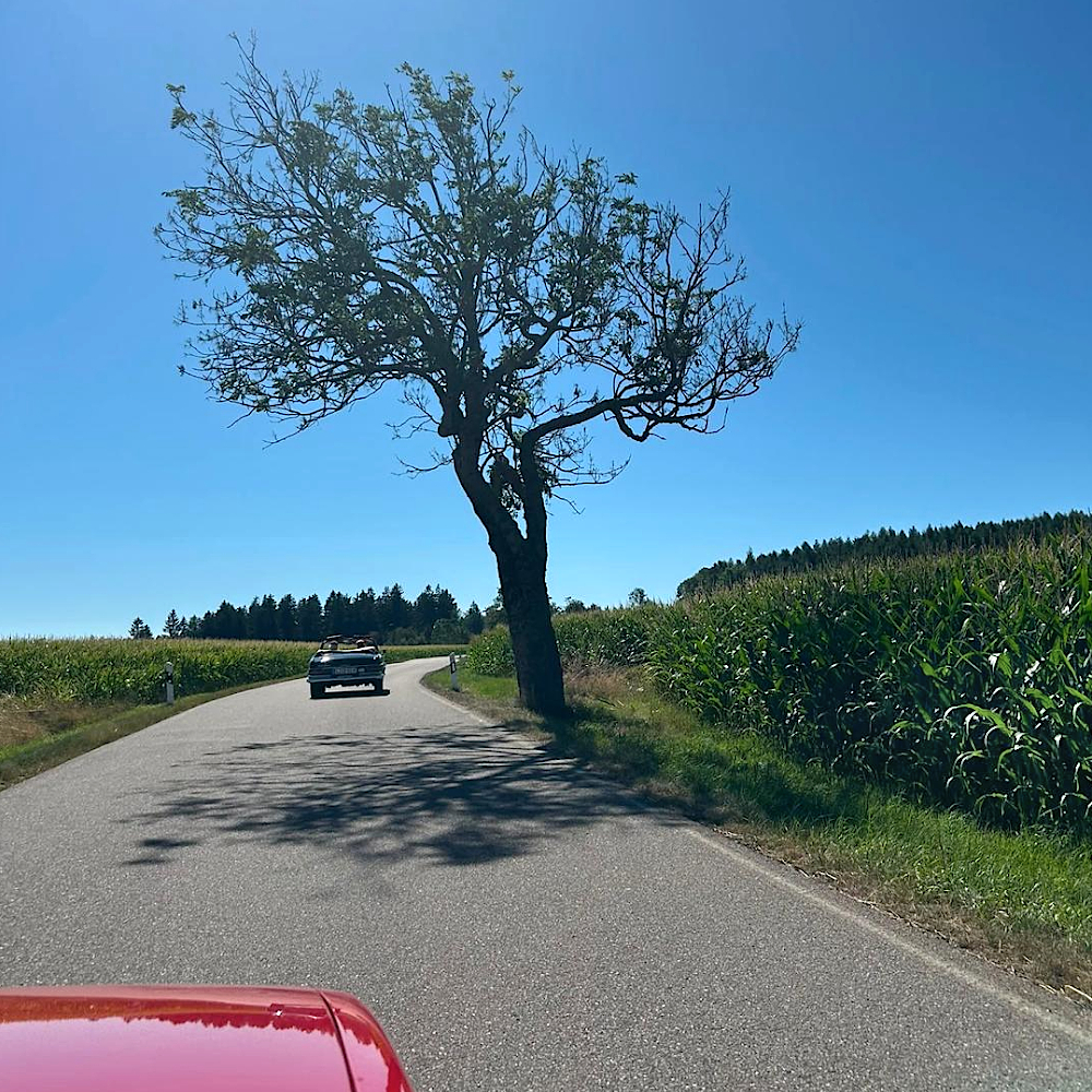Sachsen Classic 2026 - Fahrt 3
