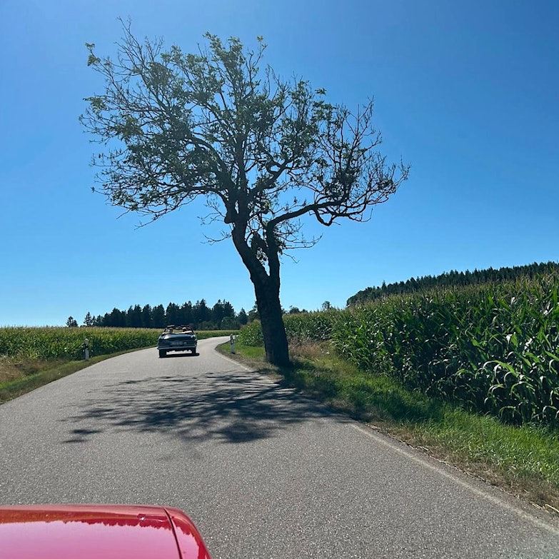 Sachsen Classic 2026 - Fahrt 3