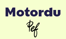 Motordu
