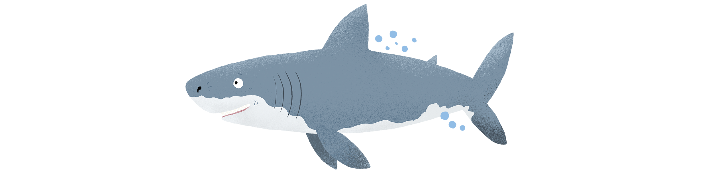 Shark