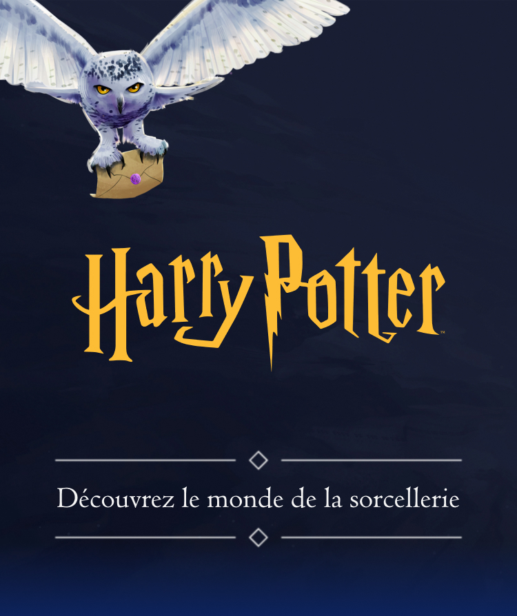 Image d'Hedwige, la chouette avec la légende : "Découvrez le monde sorcier"