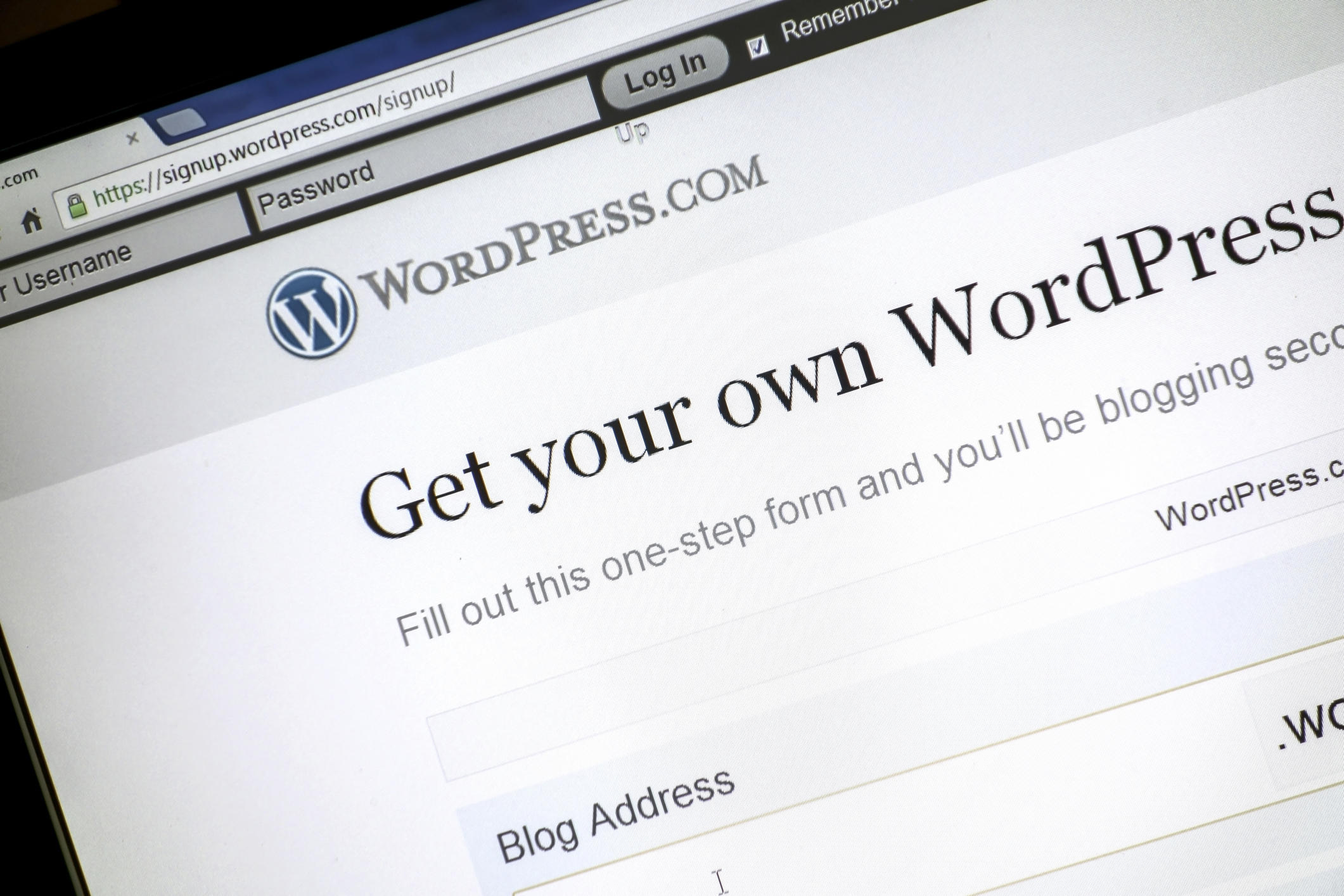 Wordpress