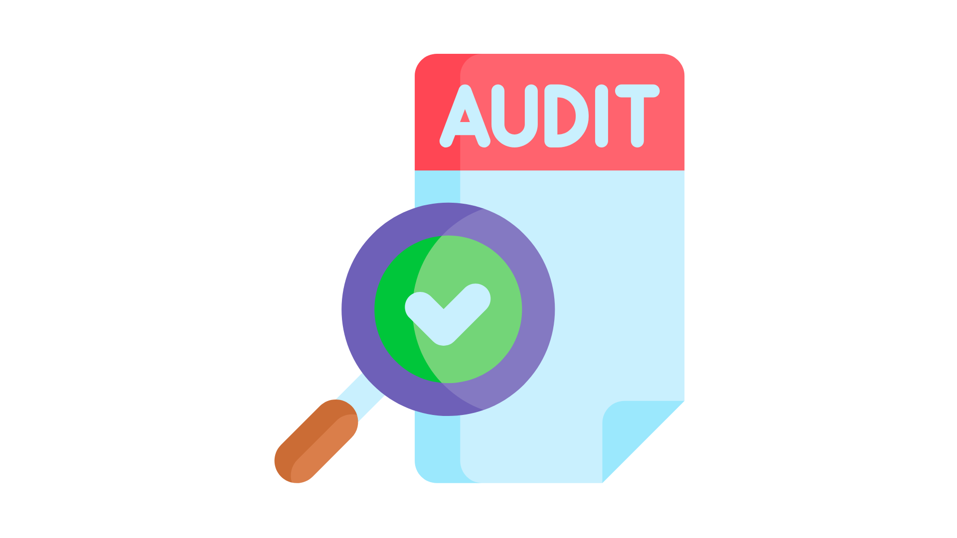 website audit