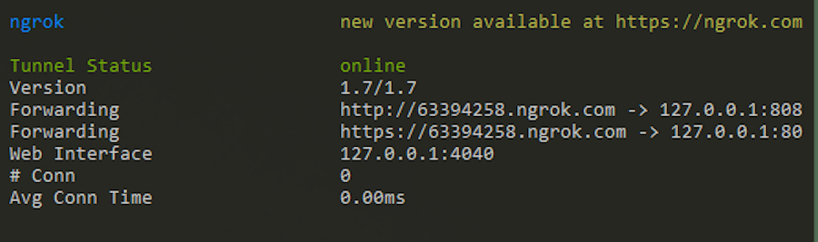 ngrok terminal