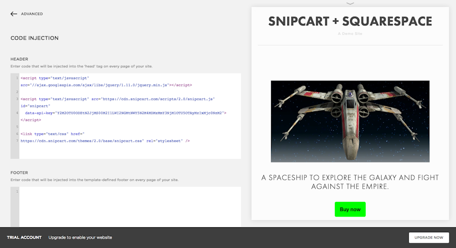 snipcart-squarespace-shopping-cart-code-injection