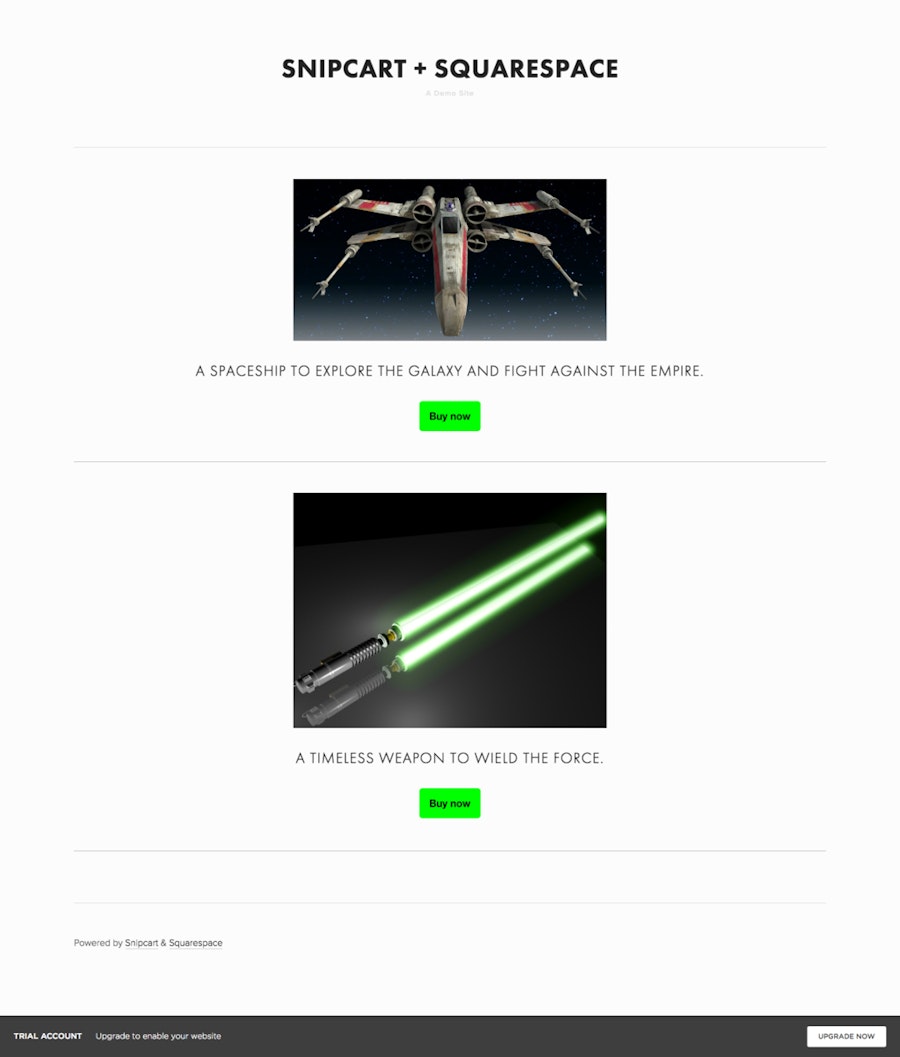 snipcart-squarespace-shopping-cart-demo