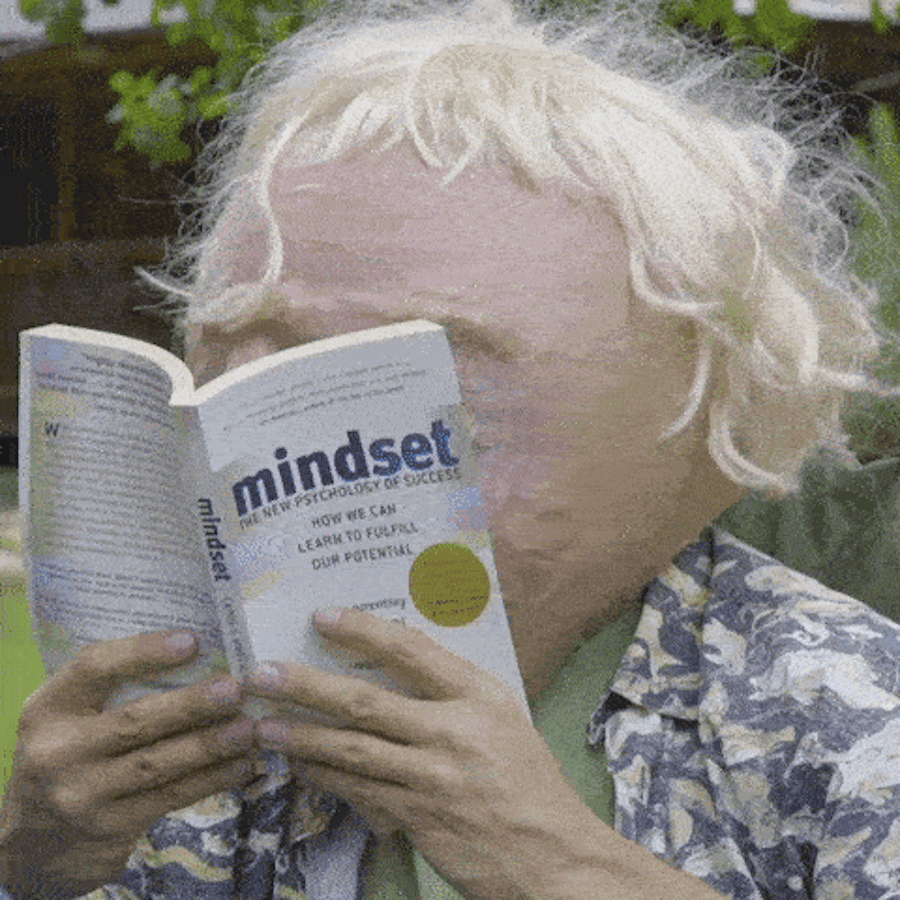 Mindset