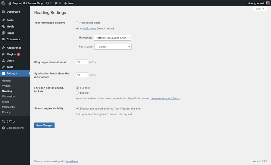 WordPress dashboard panel reading setting static homepage