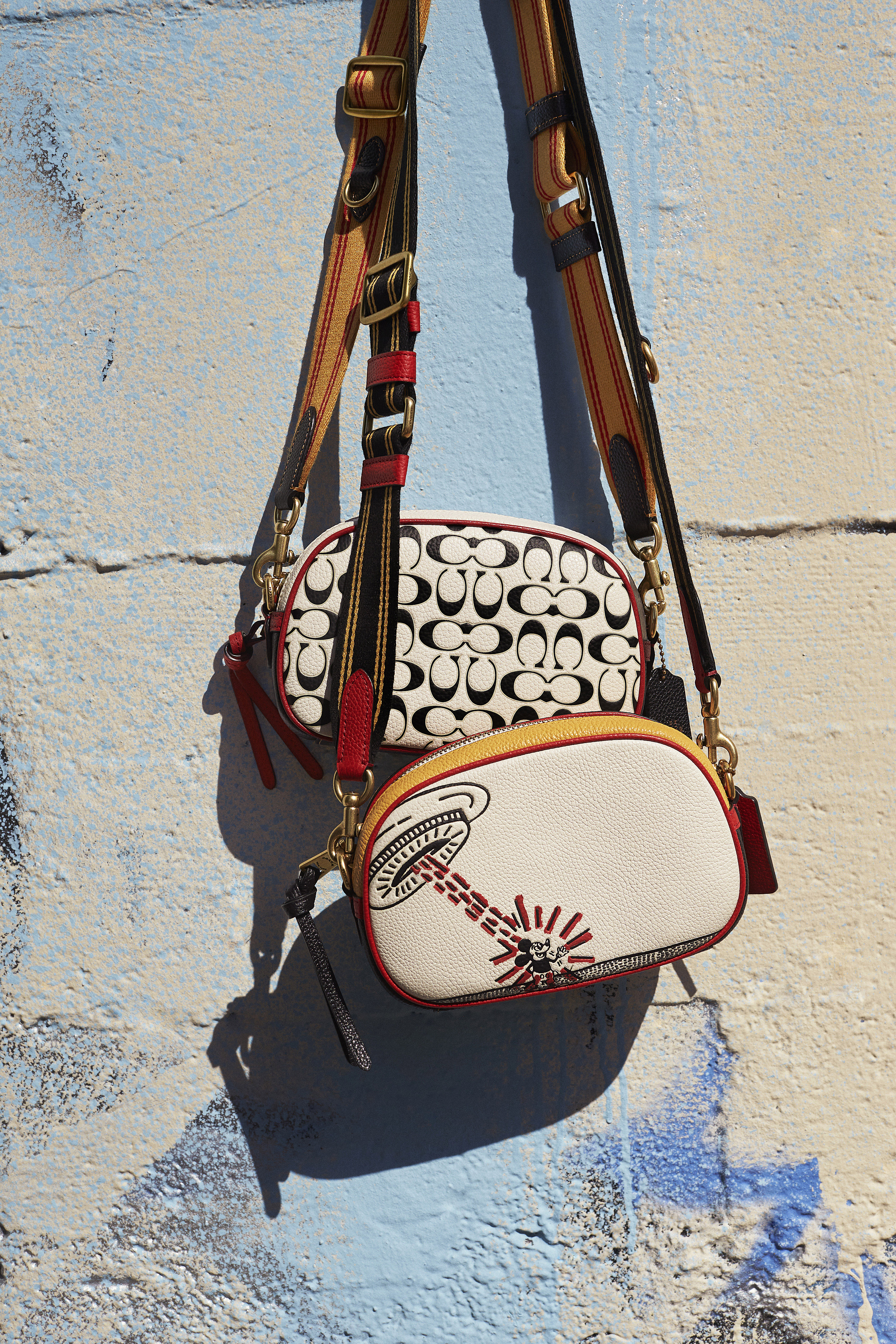 コーチMICKEY x KEITH HARING ストライプサングラスケース 【楽天市場