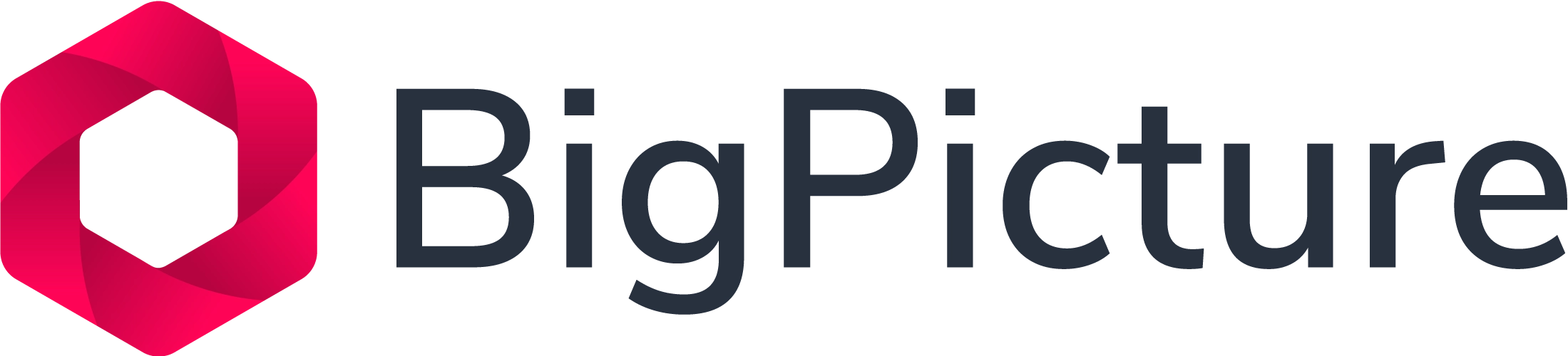 Logo: Big Picture
