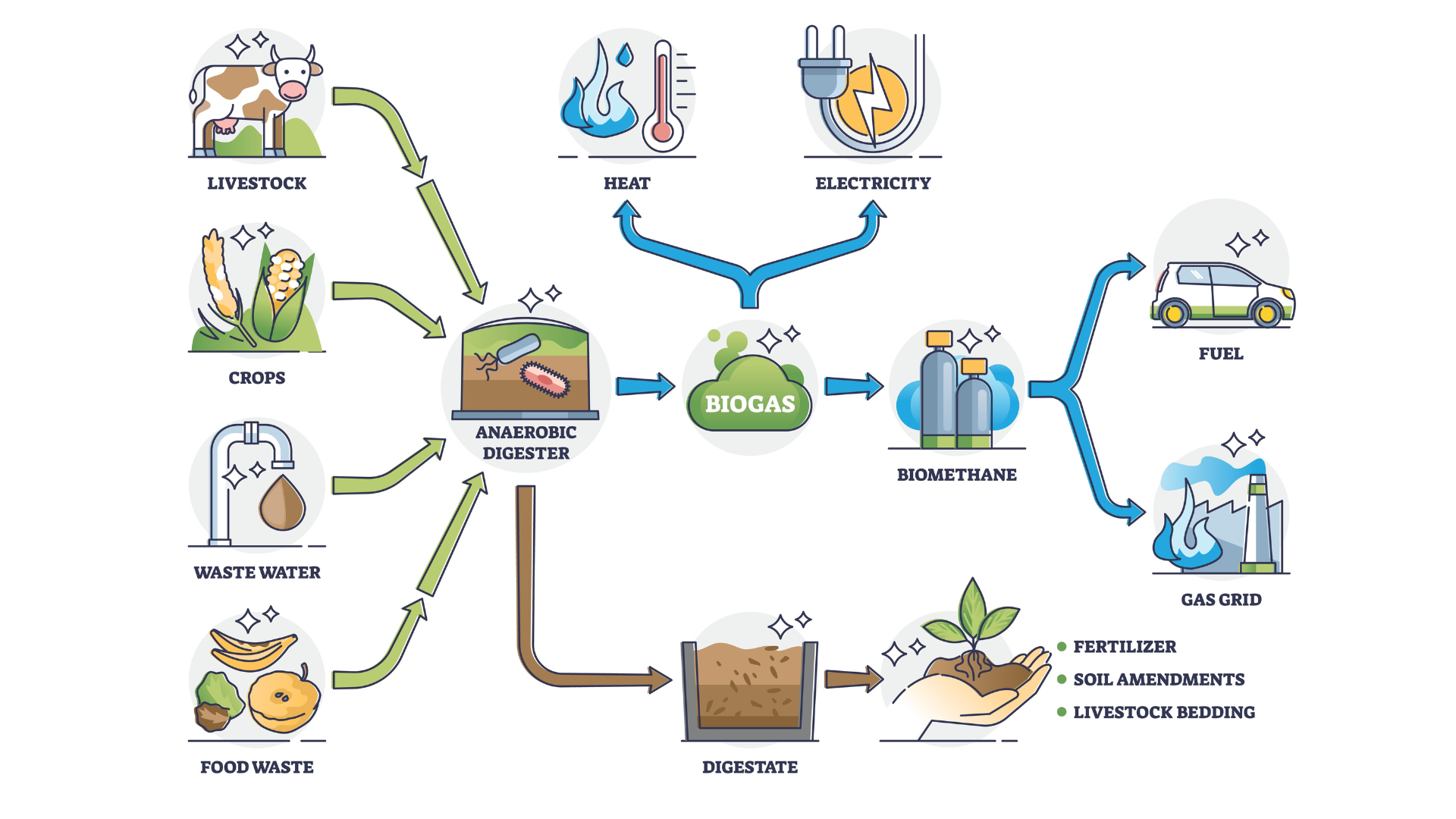 Cómo Funciona La Producción De Energía En Una Central Eléctrica De Biomasa