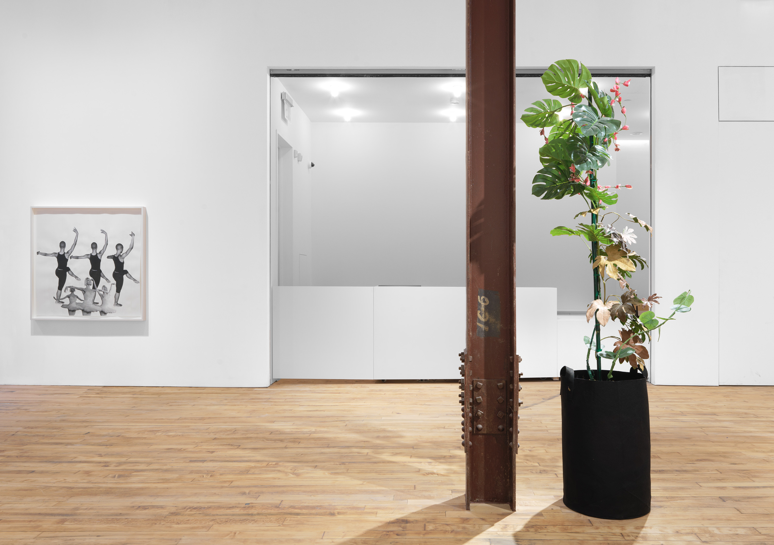 Installation view of the exhibition, Kandis Williams: A Line, at 52 Walker in New York, dated 2021.