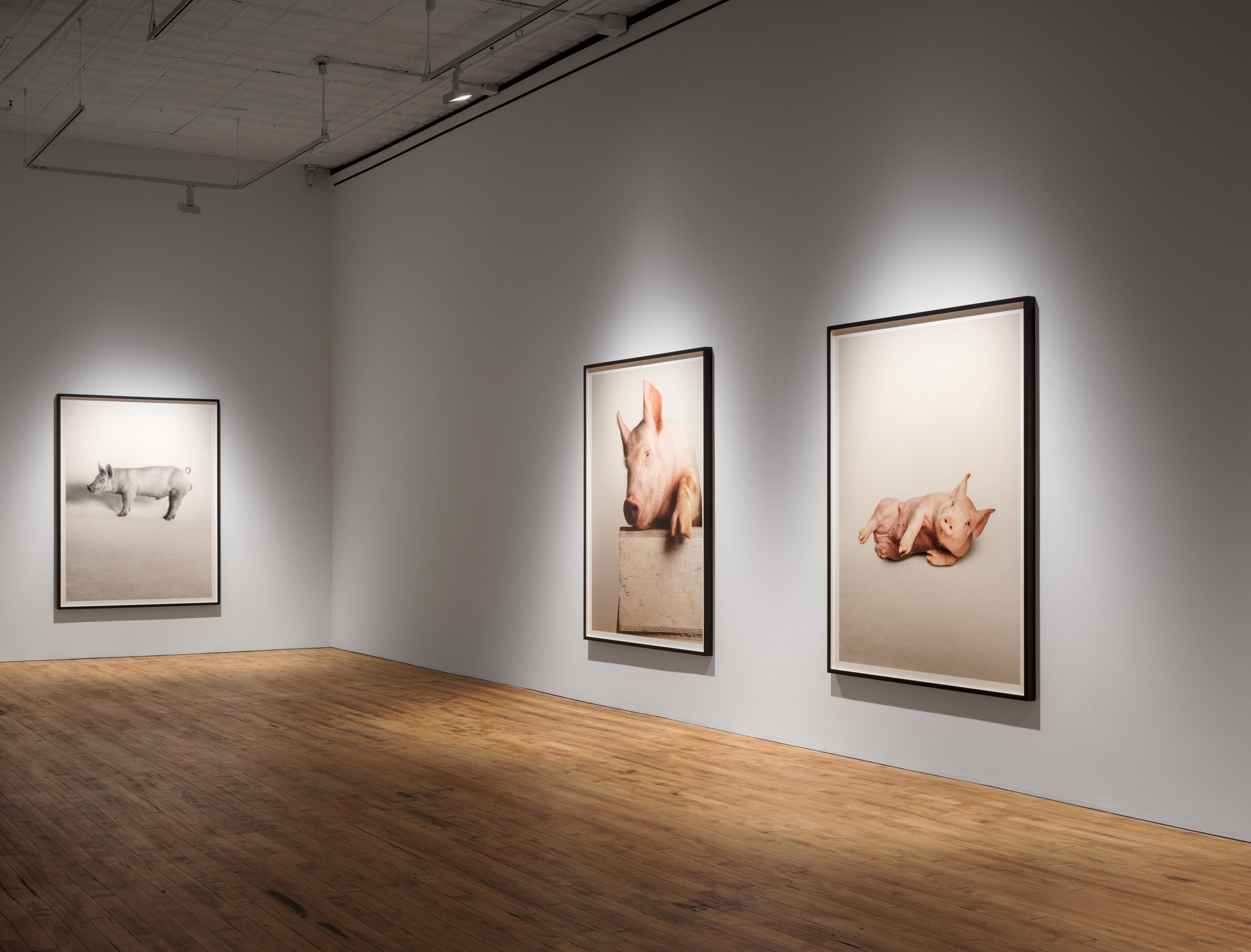 Installation view of the exhibition Heji Shin: THE BIG NUDES, at 52 Walker in New York City, dated 2023.