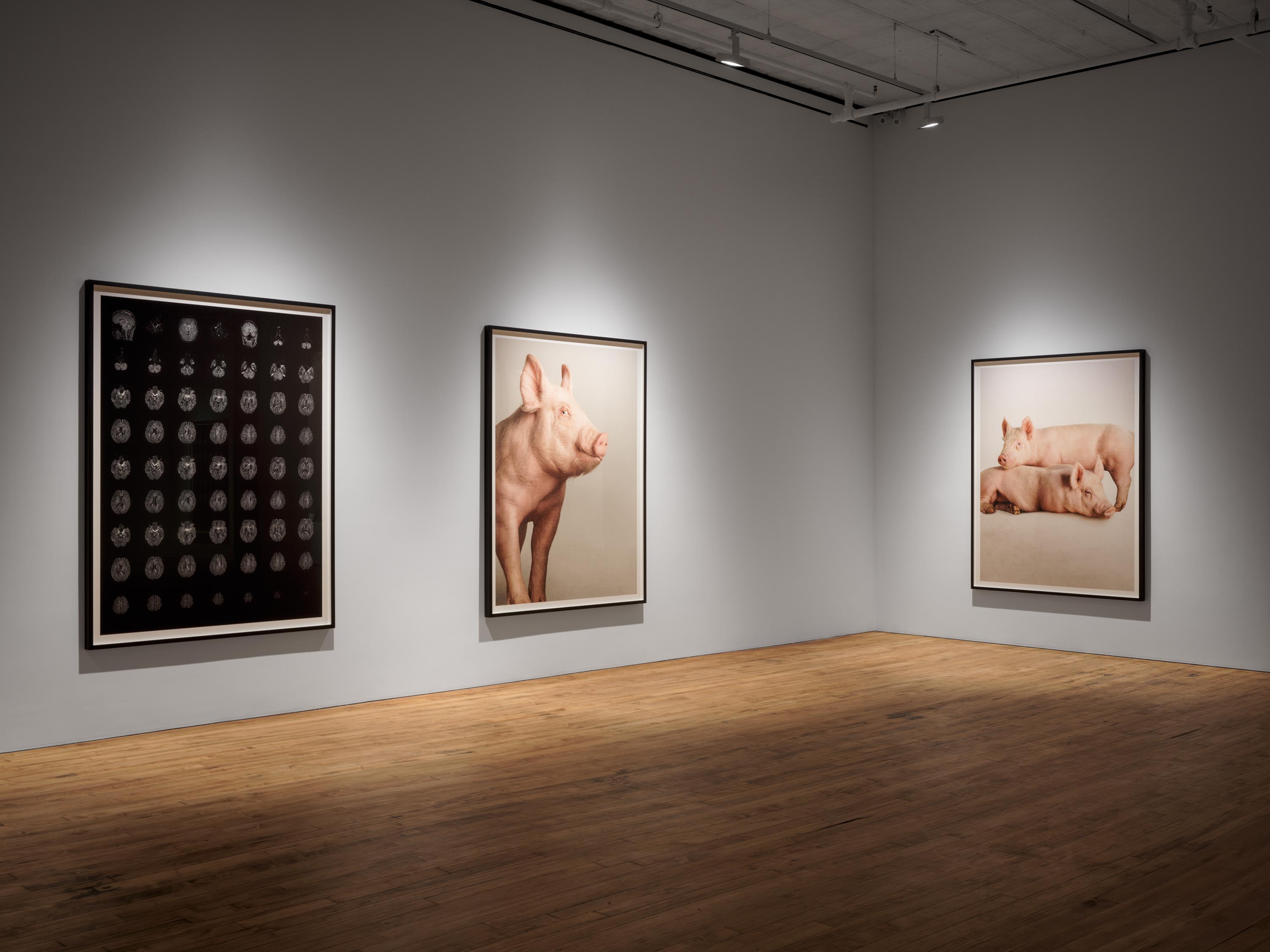 Installation view of the exhibition Heji Shin: THE BIG NUDES, at 52 Walker in New York City, dated 2023.