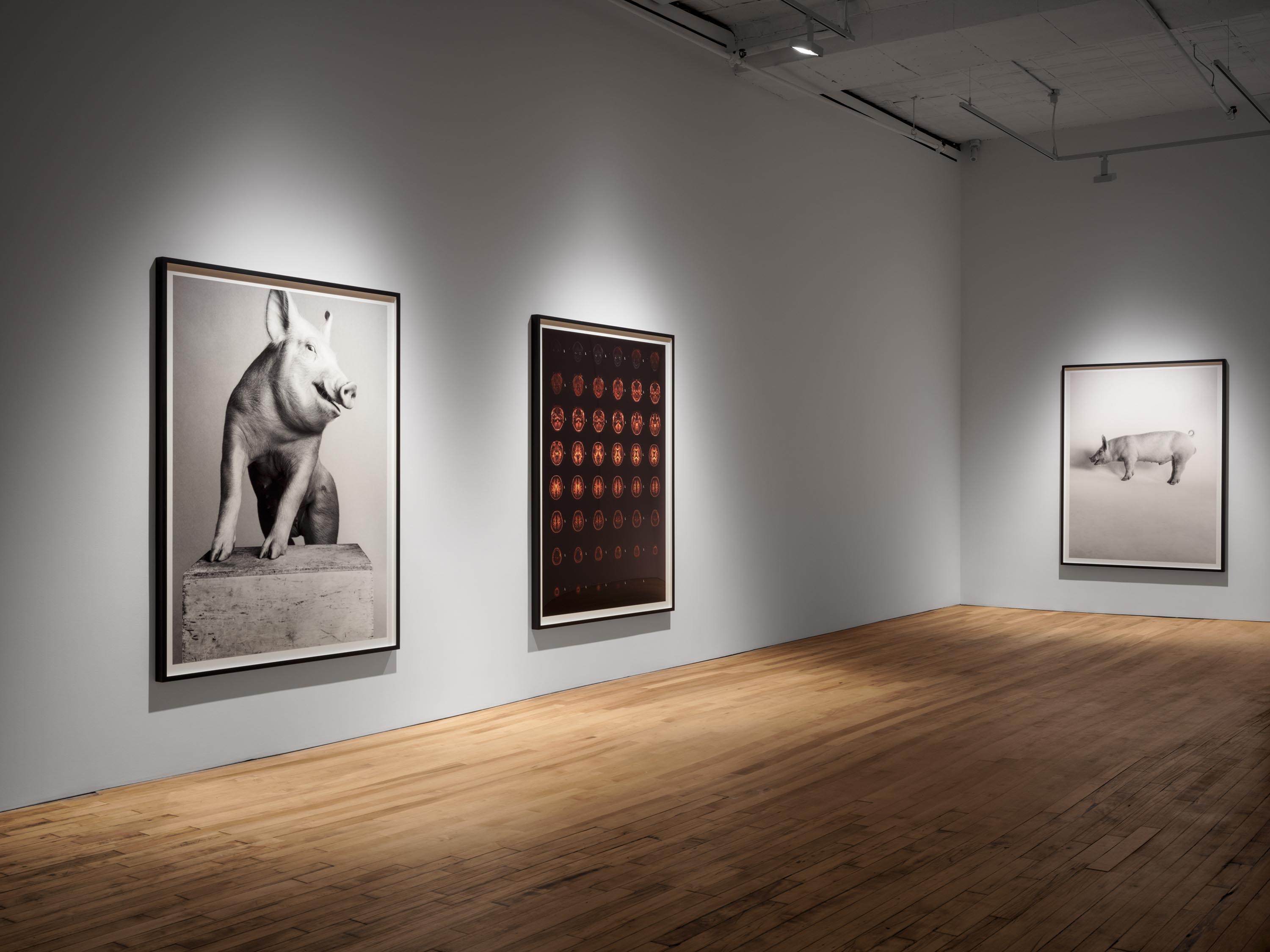 Installation view of the exhibition Heji Shin: THE BIG NUDES, at 52 Walker in New York City, dated 2023.