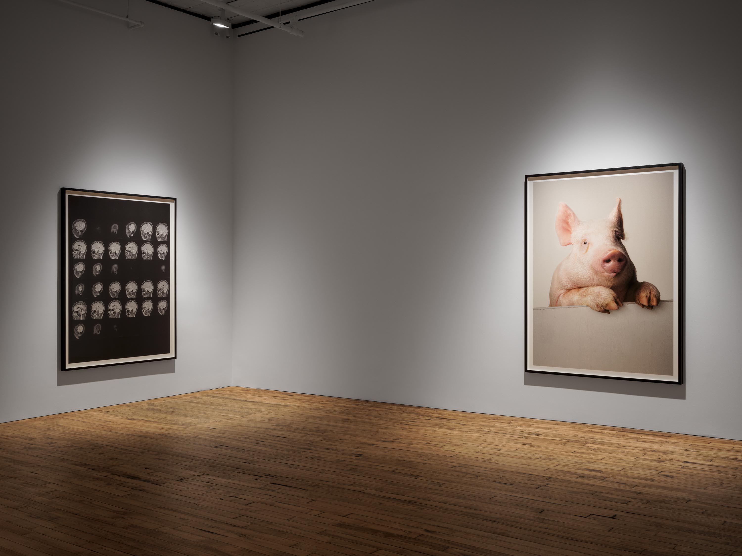 Installation view of the exhibition Heji Shin: THE BIG NUDES, at 52 Walker in New York City, dated 2023.