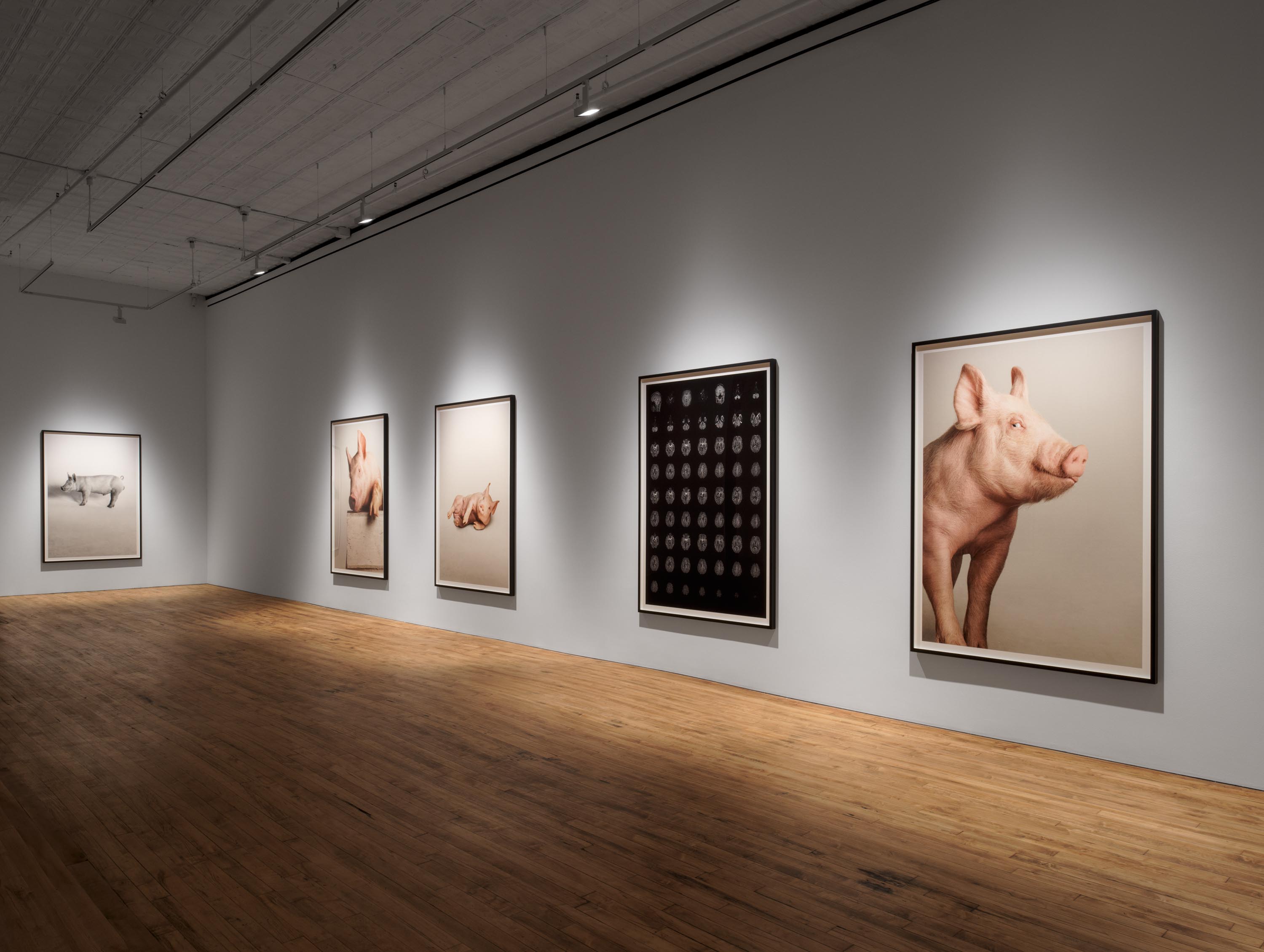 Installation view of the exhibition Heji Shin: THE BIG NUDES, at 52 Walker in New York City, dated 2023.