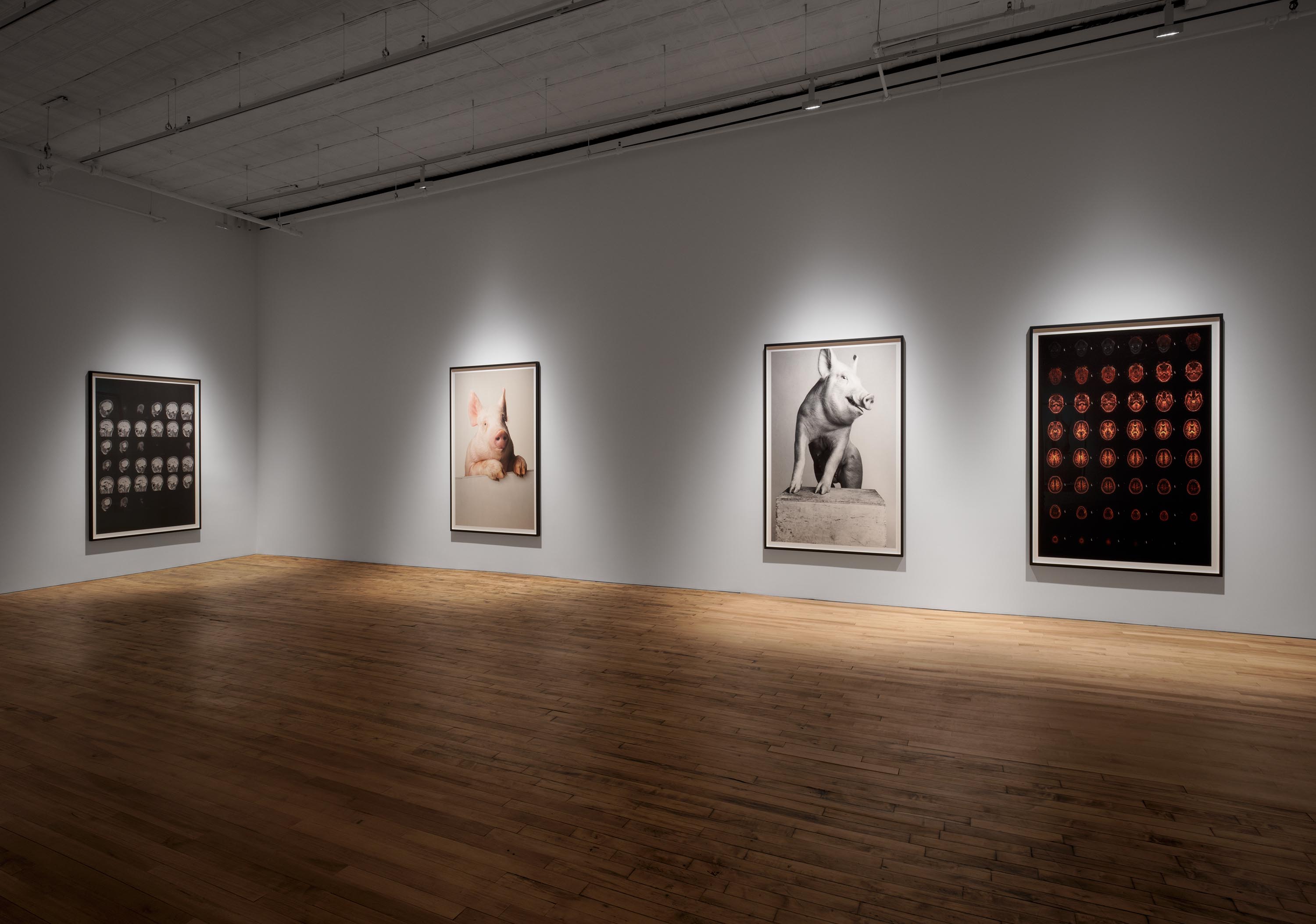 Installation view of the exhibition Heji Shin: THE BIG NUDES, at 52 Walker in New York City, dated 2023.