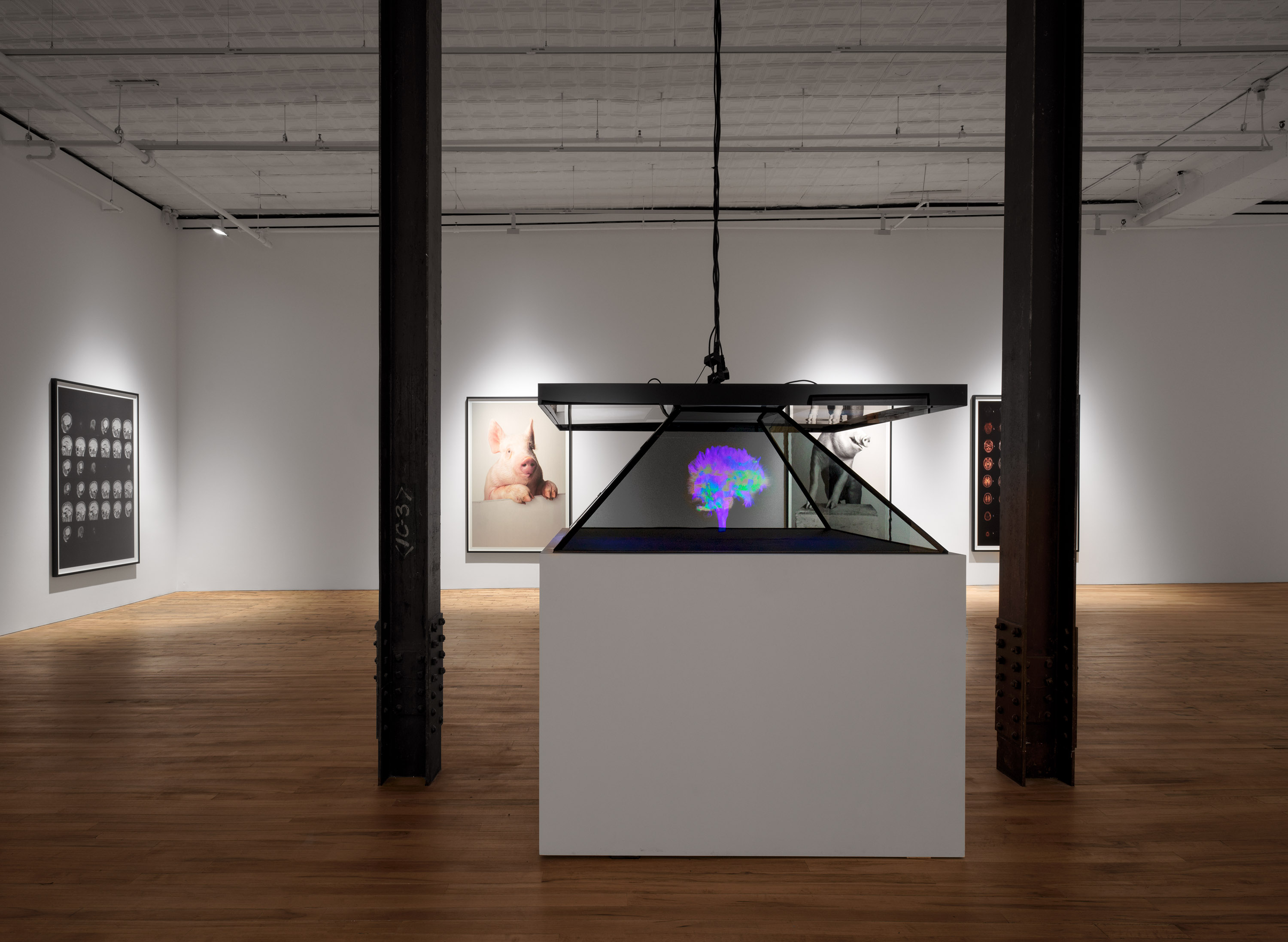 Installation view of the exhibition Heji Shin: THE BIG NUDES, at 52 Walker in New York City, dated 2023.