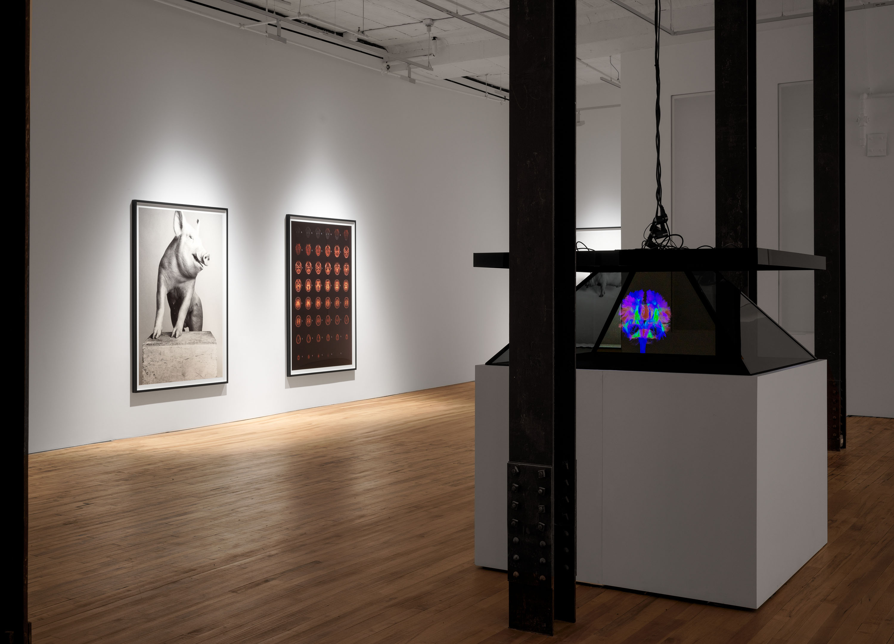 Installation view of the exhibition Heji Shin: THE BIG NUDES, at 52 Walker in New York City, dated 2023.