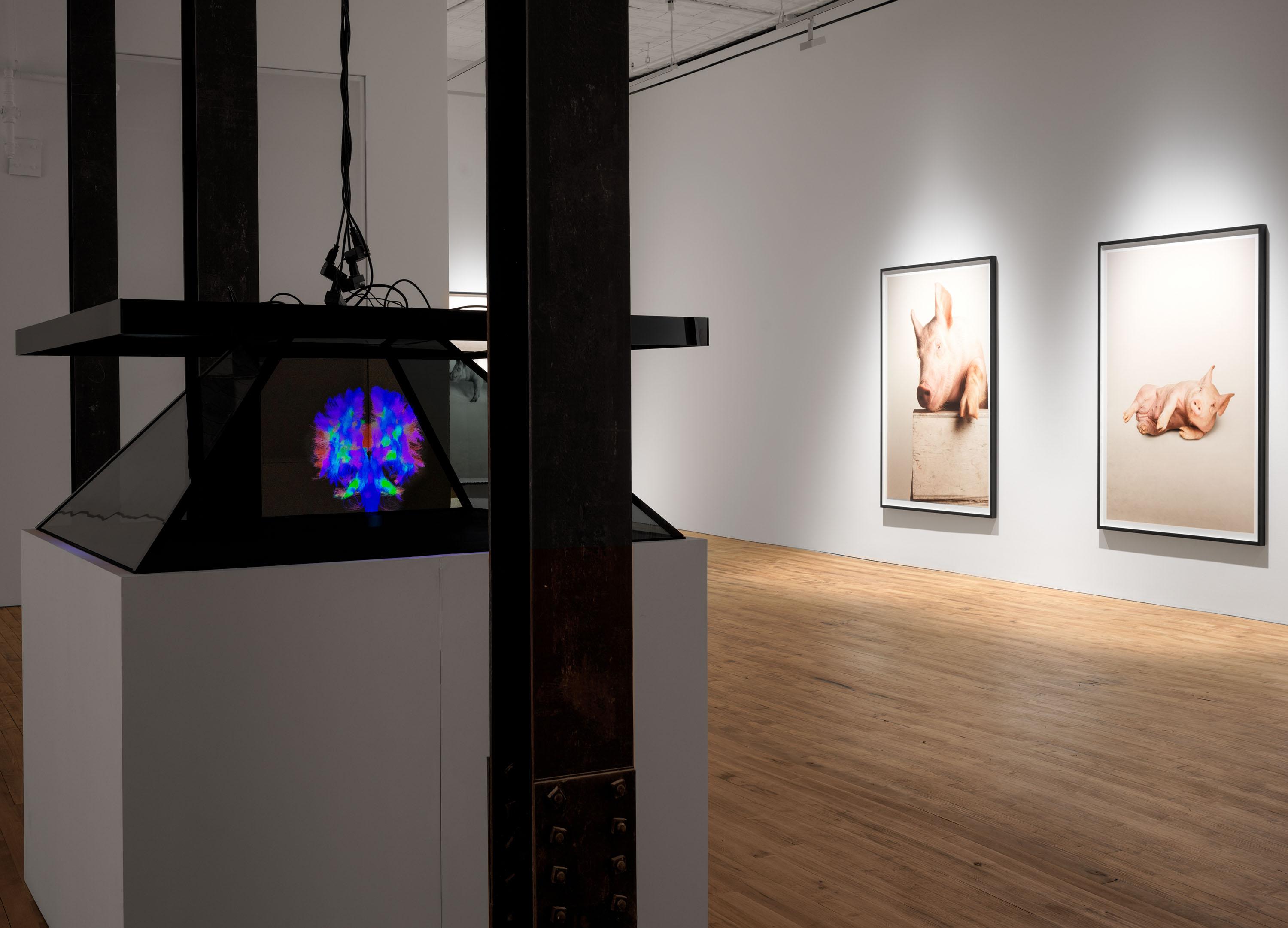 Installation view of the exhibition Heji Shin: THE BIG NUDES, at 52 Walker in New York City, dated 2023.