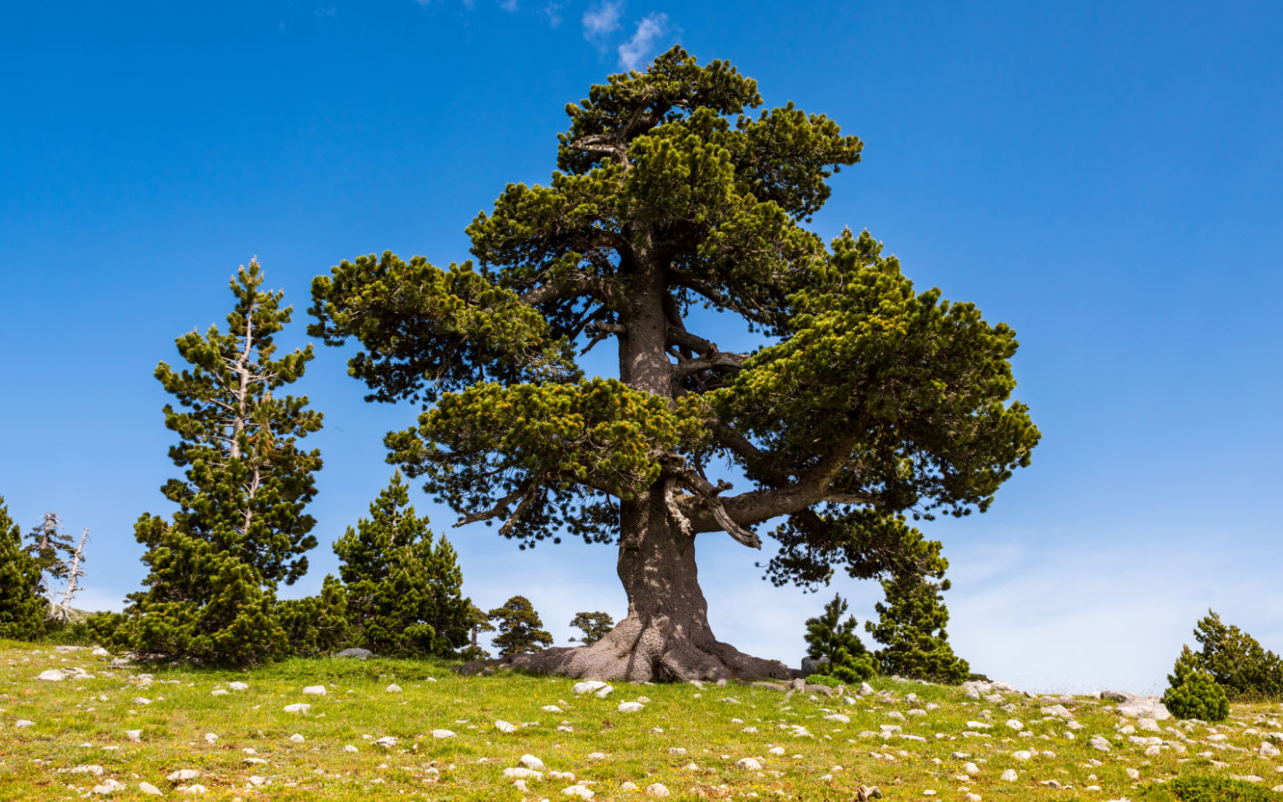 Cammino delle Donne Gallery