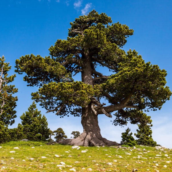 Cammino delle Donne Gallery