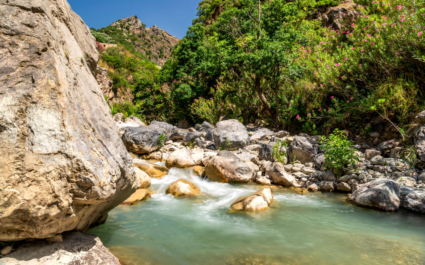 Cammino delle Donne Gallery