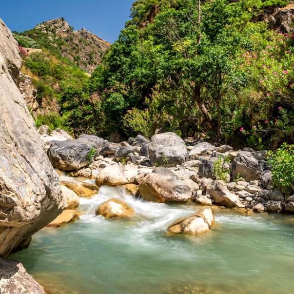 Cammino delle Donne Gallery