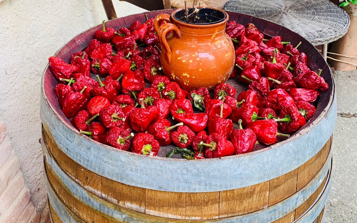 Cammino delle Donne Gallery