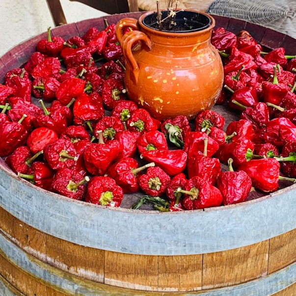 Cammino delle Donne Gallery