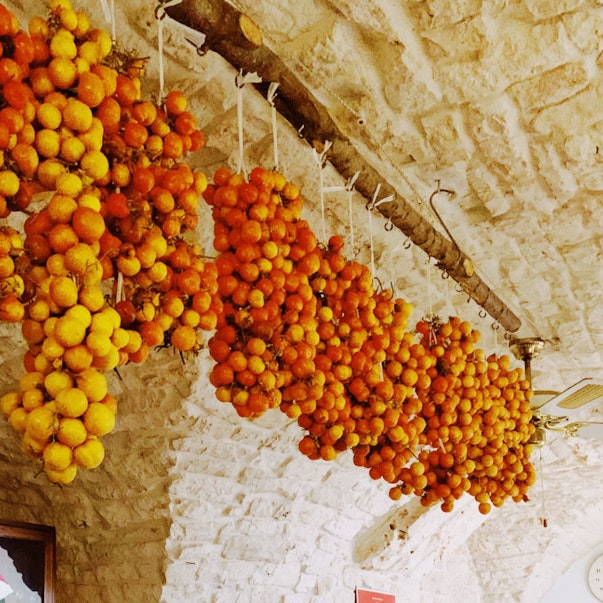 Gallery Puglia Mater Mundi