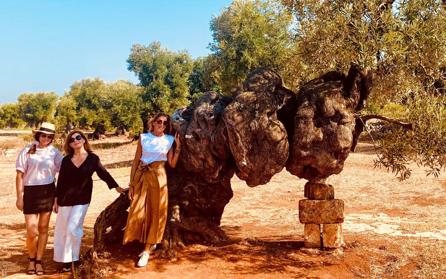 Gallery Puglia Mater Mundi 