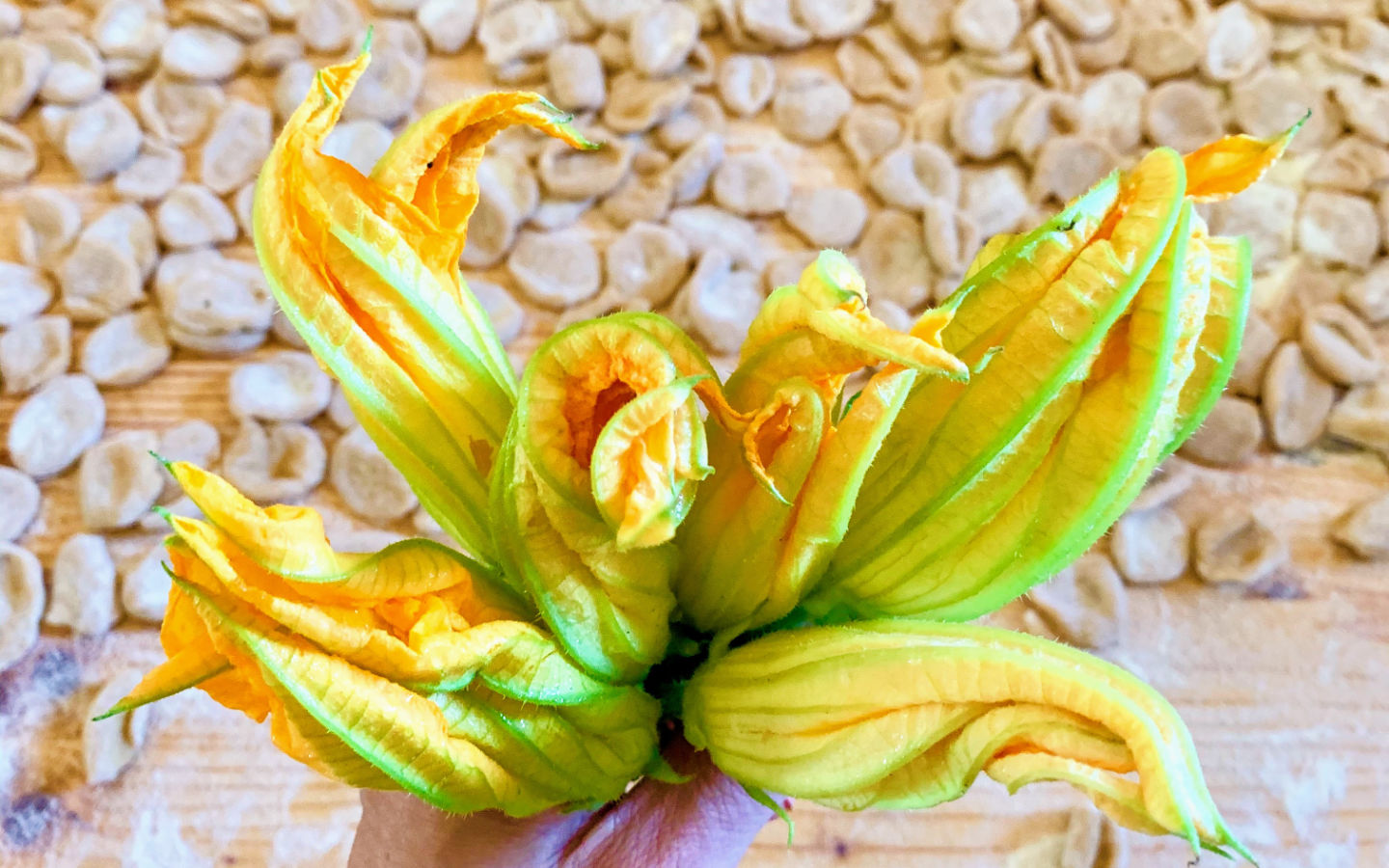 Gallery Puglia Mater Mundi 