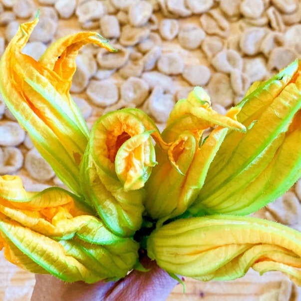 Gallery Puglia Mater Mundi