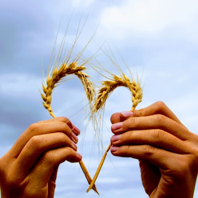 Mani di donna che formano un cuore con spighe di grano