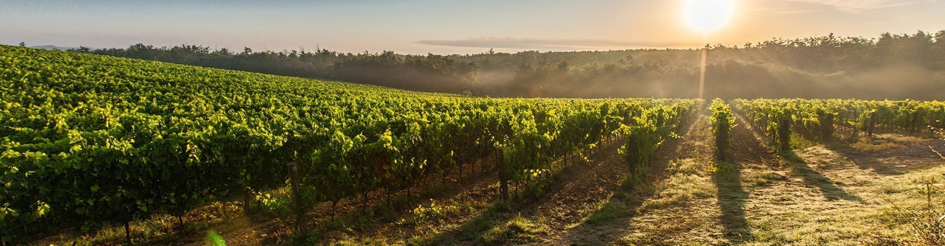 Valdichiana Senese, la Terra del Benessere