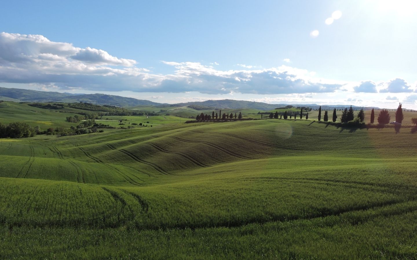 Valdichiana Senese Foto Gallery