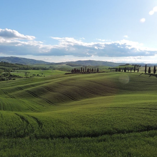 Valdichiana Senese Foto Gallery