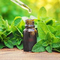 Peppermint Oil
