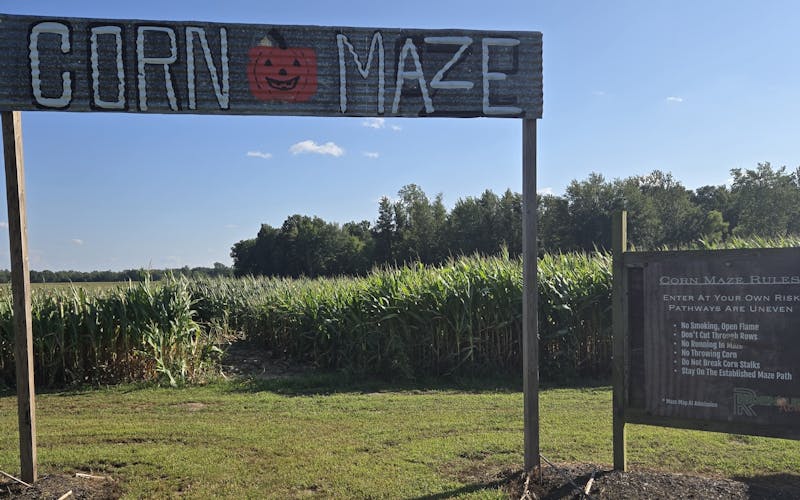 entrance to a corn maze sign in front of a corn field