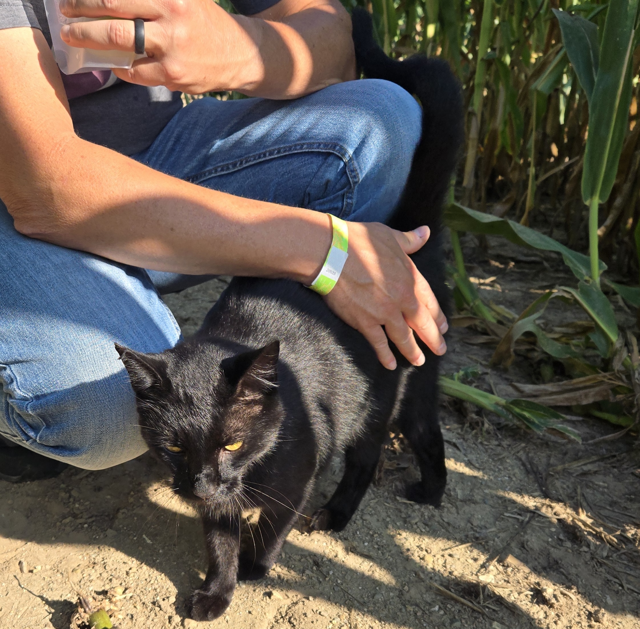 Jason petting black cat Rick