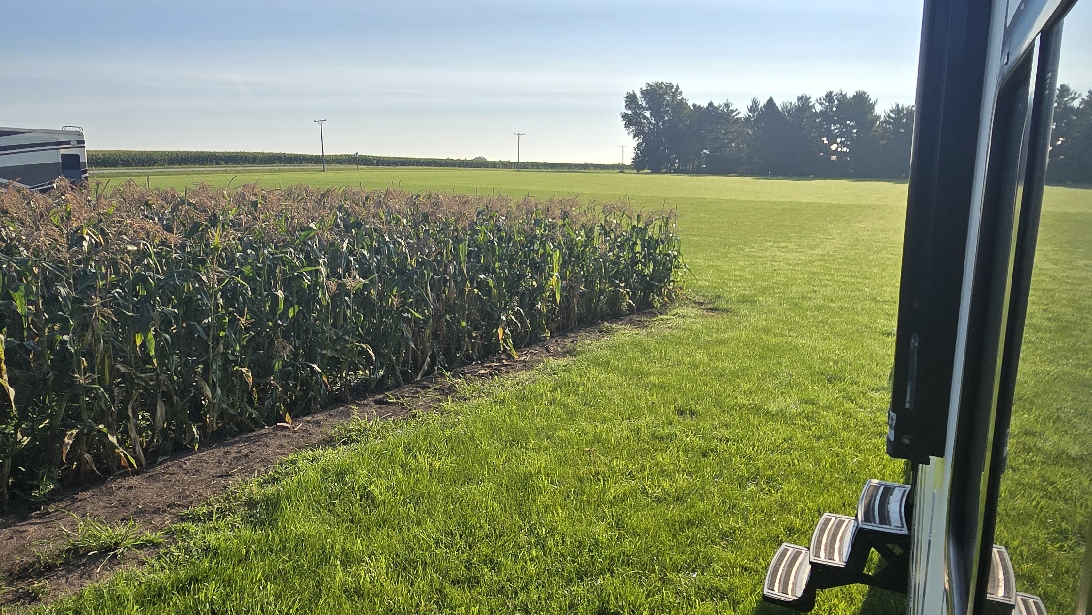 view of a corn field from the camper front step
