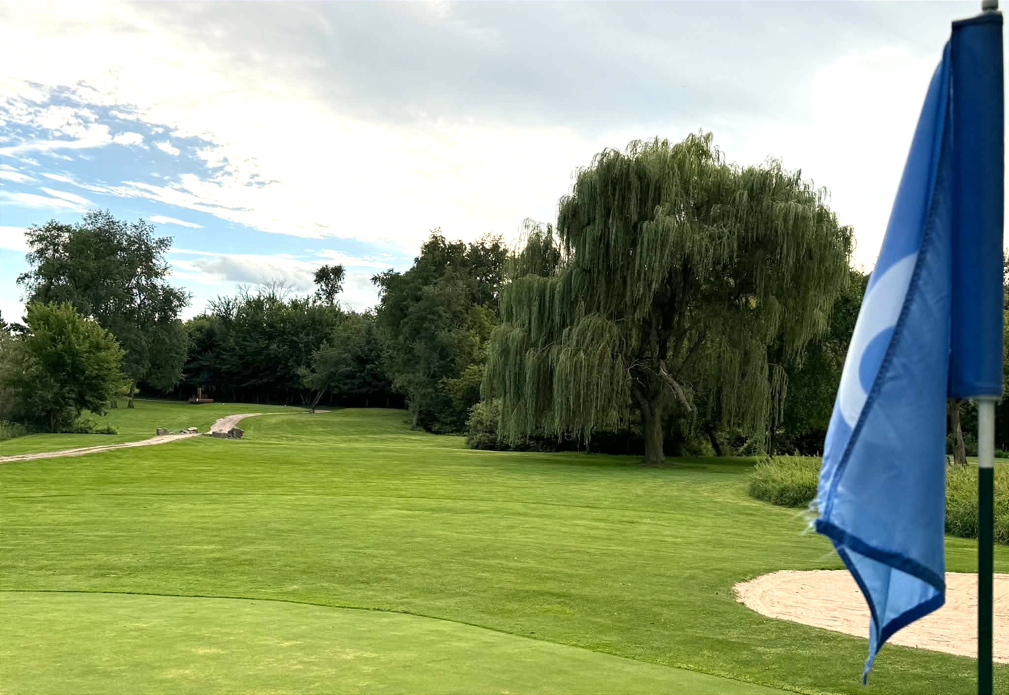 willow tree on a golf course behind a blue flag with the number 6