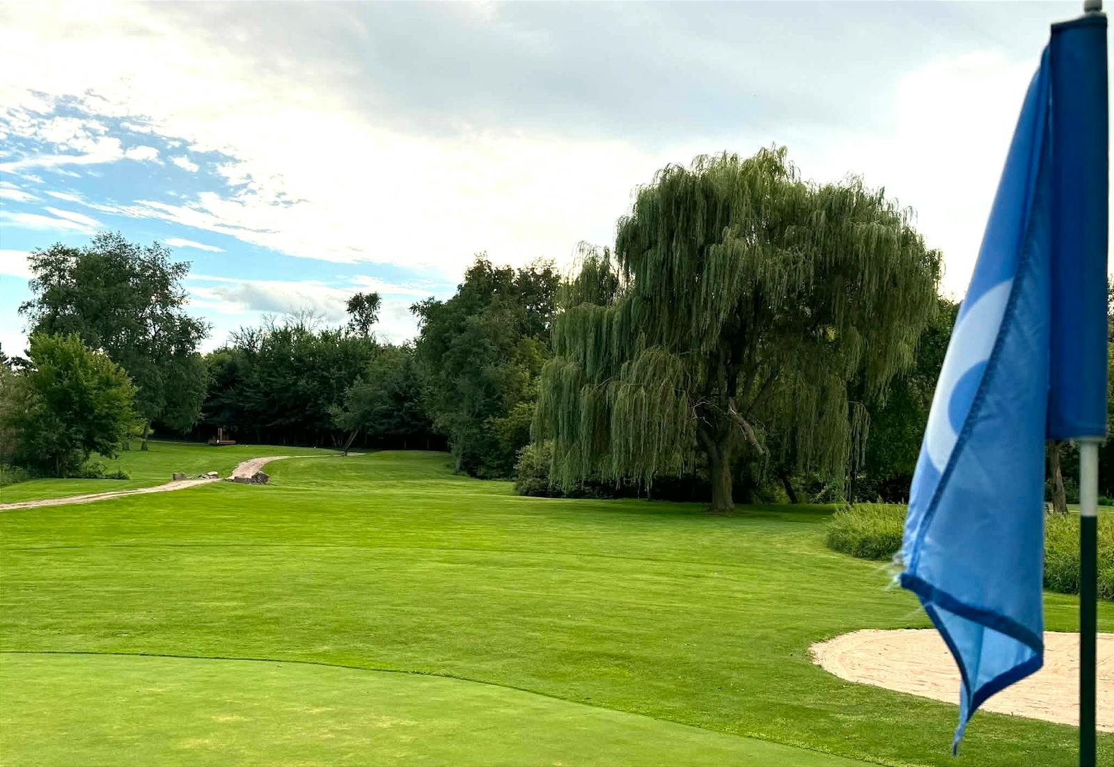willow tree on a golf course behind a blue flag with the number 6