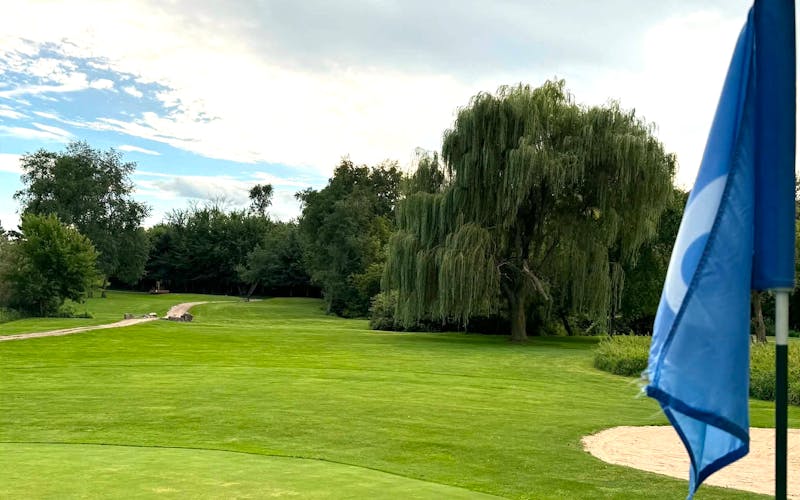 willow tree on a golf course behind a blue flag with the number 6